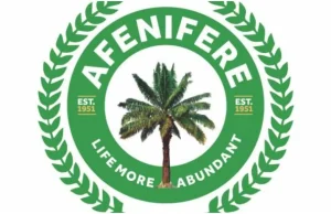 Terrorists now demand drugs, virgins for hostages — Afenifere