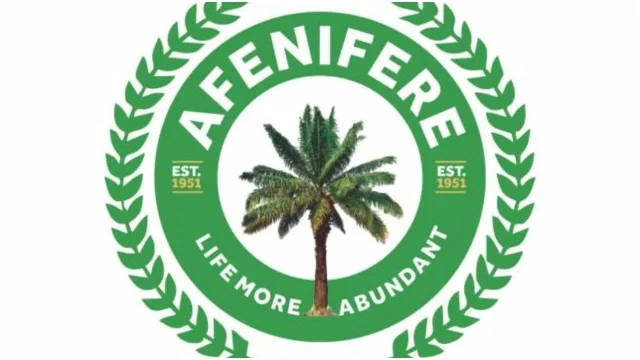 Terrorists now demand drugs, virgins for hostages — Afenifere