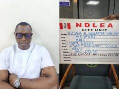 NDLEA arrests wanted drug kingpin after 15-year manhunt NDLEA