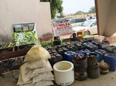 NDLEA uncovers clandestine drug factory hidden in Imo village
