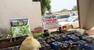 NDLEA uncovers clandestine drug factory hidden in Imo village