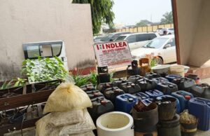NDLEA uncovers clandestine drug factory hidden in Imo village