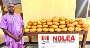 Ex-Lagos councillor nabbed with 40kg cannabis
