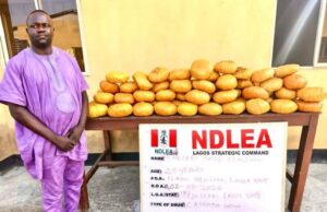 Ex-Lagos councillor nabbed with 40kg cannabis