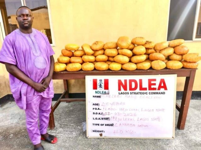 Ex-Lagos councillor nabbed with 40kg cannabis