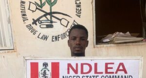 NDLEA seizes 500 IED components, drug consignments in nationwide operations