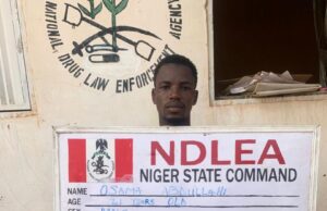 NDLEA seizes 500 IED components, drug consignments in nationwide operations