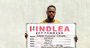 NDLEA intercepts drugs hidden in baby diapers in Abuja
