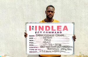 NDLEA intercepts drugs hidden in baby diapers in Abuja