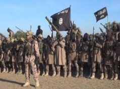 ISWAP names Abu Ameer as Pulka camp leader after commander’s death