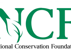 Nigeria’s forests near collapse, less than 10% remain — NCF