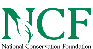Nigeria’s forests near collapse, less than 10% remain — NCF