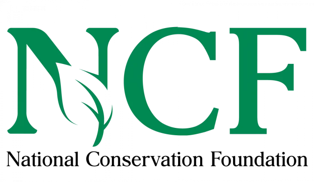 Nigeria’s forests near collapse, less than 10% remain — NCF