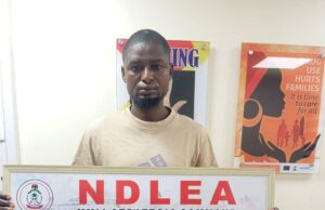 NDLEA intercepts cocaine hidden in dry stock fish, UK-bound drugs in automobile parts Cocaine