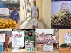 1,000kg cannabis, opioids recovered in multi-state raids