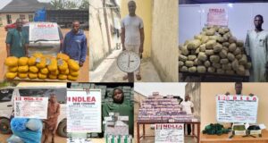 1,000kg cannabis, opioids recovered in multi-state raids
