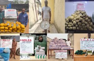 1,000kg cannabis, opioids recovered in multi-state raids