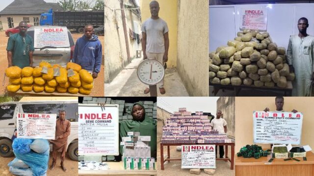 1,000kg cannabis, opioids recovered in multi-state raids