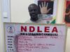 NDLEA cracks major drug ring, arrests long-wanted suspect