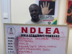 NDLEA cracks major drug ring, arrests long-wanted suspect