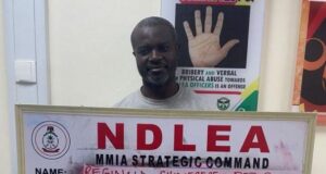 NDLEA cracks major drug ring, arrests long-wanted suspect