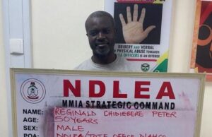 NDLEA cracks major drug ring, arrests long-wanted suspect