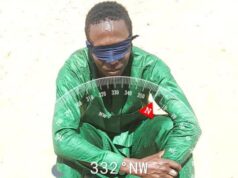 Troops arrest suspected ISWAP informant in Yobe