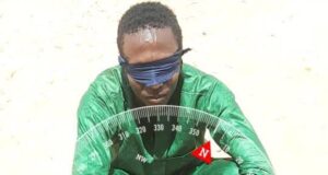 Troops arrest suspected ISWAP informant in Yobe
