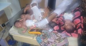 Kano woman dies hours after giving birth to quintuplets