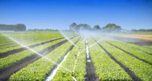 FG launches $500m SPIN project to boost irrigation, dam safety