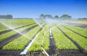 FG launches $500m SPIN project to boost irrigation, dam safety