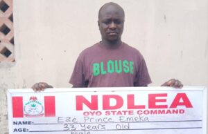 Europe-bound businessman excretes 45 cocaine wraps in Oyo Businessman
