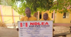 NDLEA nabs couple in Niger, recovers drugs in Lagos, Ogun raids NDLEA