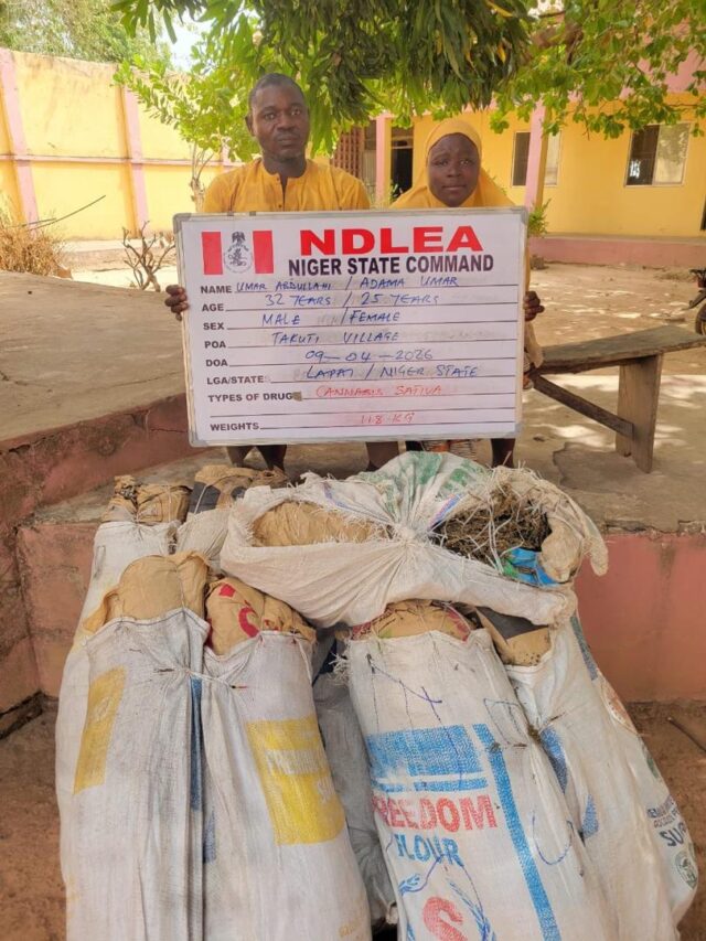 NDLEA nabs couple in Niger, recovers drugs in Lagos, Ogun raids NDLEA