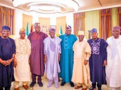 Tinubu approves N2bn relief, backs ex-governors’ peace panel for Plateau