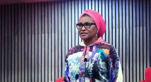 I was not shown report on Natasha’s suspension — Kingibe