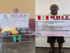 NDLEA arrests 93-year-old man, doctor for cocaine, skunk trafficking NDLEA
