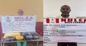 NDLEA arrests 93-year-old man, doctor for cocaine, skunk trafficking NDLEA