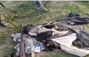 One missing as elephant kills 45-year-old man in Oyo community Elephant