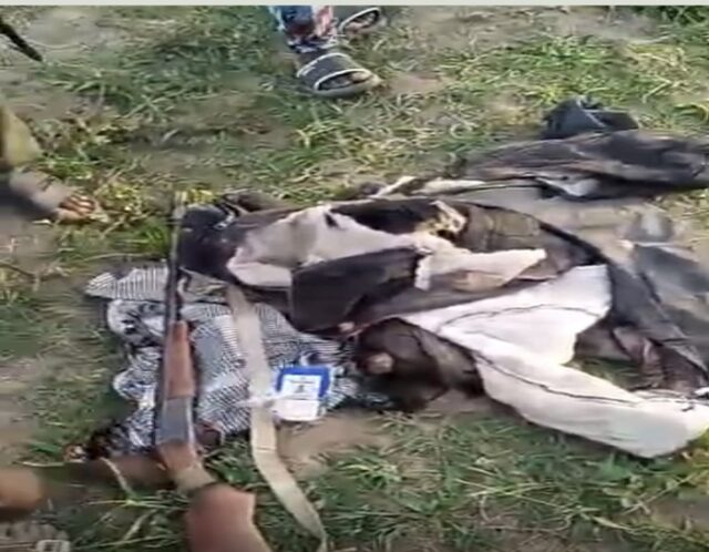 One missing as elephant kills 45-year-old man in Oyo community Elephant