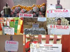 NDLEA busts captagon, cocaine, opioids in nationwide crackdown