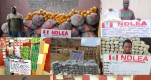 NDLEA busts captagon, cocaine, opioids in nationwide crackdown