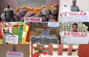 NDLEA busts captagon, cocaine, opioids in nationwide crackdown