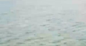 Man rescued after plunging into Lagos lagoon