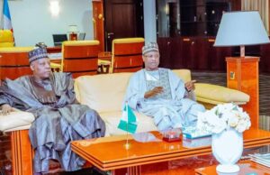 Shettima hails Uba Sani, says Kaduna sets benchmark on skills devt