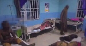 NAF airstrike hits Borno-Yobe border market, kills at least 10