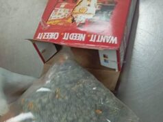 NDLEA flags rising use of courier services for drugs