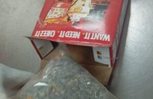 NDLEA flags rising use of courier services for drugs