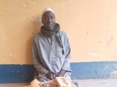 Troops nab suspected ISWAP logistics courier in Borno