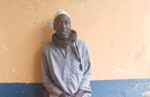 Troops nab suspected ISWAP logistics courier in Borno